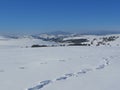 Winter, Winter landscape, Mountain view, Mountain landscape, Snowy Zlatibor, Serbian landscape Royalty Free Stock Photo