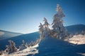 Winter landscape in mountains fir forest in snow on blue sky Royalty Free Stock Photo