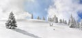 Winter landscape of mountains with of fir forest in snow during snowfall. Carpathian mountains, panorama view Royalty Free Stock Photo