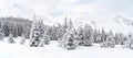 Winter landscape of mountains in fir tree forest and glade in snow. Carpathian mountains Royalty Free Stock Photo