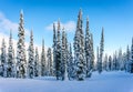 Winter landscape in the mountains under beautiful skies