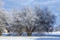 Winter landscape in Munich Allach with white tree Royalty Free Stock Photo
