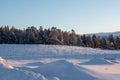 Winter landscape, nature reserve, laponian area, laponia, Norrbotten, Lapland, Sweden