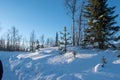 Winter landscape, nature reserve, laponian area, laponia, Norrbotten, Lapland, Sweden