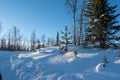 Winter landscape, nature reserve, laponian area, laponia, Norrbotten, Lapland, Sweden