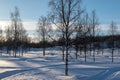 Winter landscape, nature reserve, laponian area, laponia, Norrbotten, Lapland, Sweden