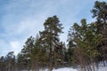 Winter landscape, nature reserve, laponian area, laponia, Norrbotten, Lapland, Sweden