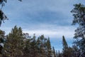 Winter landscape, nature reserve, laponian area, laponia, Norrbotten, Lapland, Sweden Royalty Free Stock Photo