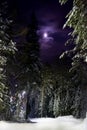 Winter landscape at night - Blurred photo bokeh Royalty Free Stock Photo