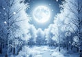 A winter landscape at night features snow-covered trees and a Royalty Free Stock Photo