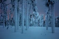 Winter Landscape of Night in frozen forest after snow blizzard Royalty Free Stock Photo