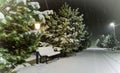 Winter landscape at night. The road is covered with snow, pine trees, vintage bench and a lantern. Christmas and new year mood Royalty Free Stock Photo