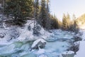 winter landscape a nonfreezing stream in winter snowy forest Royalty Free Stock Photo