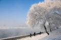 Winter Landscape in Northeast China. rime on trees Royalty Free Stock Photo