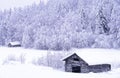 Old barns in winter landscape