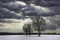 Winter landscape in Ontario