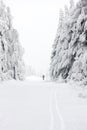 winter landscape, Orlicke Moutnains, Czech Republic