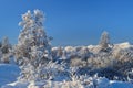 Winter landscape of Oymyakon. Yakutia, Russia.