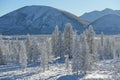 Winter landscape of Oymyakon. Yakutia, Russia.