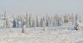 Winter landscape of Oymyakon. Yakutia, Russia.