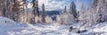 Winter landscape, panorama, banner - view of the snowy road Royalty Free Stock Photo