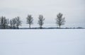 Winter landscape panorama on countryside. Royalty Free Stock Photo