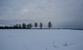 Winter landscape panorama on countryside. Royalty Free Stock Photo