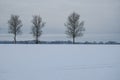 Winter landscape panorama on countryside. Royalty Free Stock Photo