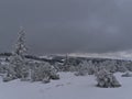 Winter landscape with panoramic view over Black Forest with deep snow and frozen coniferous trees near Schliffkopf peak. Royalty Free Stock Photo