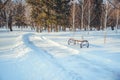 Winter landscape park in city Royalty Free Stock Photo