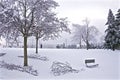 Winter landscape in the park with the fallen tree branches after a freezing rain storm Royalty Free Stock Photo