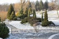 Winter landscape in the park Royalty Free Stock Photo