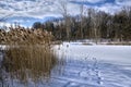 Winter landscape in the park. Footprint on the snow Royalty Free Stock Photo