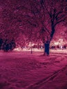 Winter landscape park  Shevchenko Ukraine Royalty Free Stock Photo