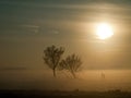 Winter landscape in pasture Royalty Free Stock Photo