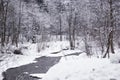 winter landscape, peaceful changeable landscape of forest and river. Winter river in snow forest landscape view Royalty Free Stock Photo