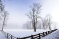 Winter landscape photo of barren tree in field Royalty Free Stock Photo