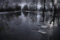 Winter landscape photo after rain