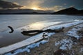 Winter landscape with pine branch on ice of lake. Ice shining Royalty Free Stock Photo