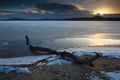 Winter landscape with pine branch on ice of lake. Ice shining Royalty Free Stock Photo