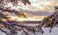 Winter landscape. Pine branches covered with snow and a view of the forest at sunset in the distance USA. Maine