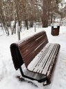 Winter landscape with  pine trees and bench  in snowy park Royalty Free Stock Photo