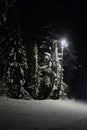 Winter landscape with pine trees covered in snow and street lights at night Royalty Free Stock Photo