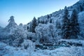 Winter landscape in pink tones,with calm winter river, surrounded by trees.Winter forest on the river at sunset. Belarus landscape Royalty Free Stock Photo