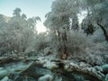 Winter landscape in pink tones,with calm winter river, surrounded by trees.Winter forest on the river at sunset. Belarus landscape Royalty Free Stock Photo