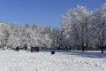 Winter landscape playground city in pure snow play children