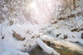 Winter landscape at Poiana Marului in Caras Severin