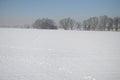 Winter landscape in Poland