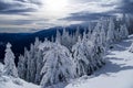 Winter landscape, Postavaru Mountains, Romania Royalty Free Stock Photo