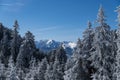 Winter landscape, Postavaru Mountains, Romania Royalty Free Stock Photo